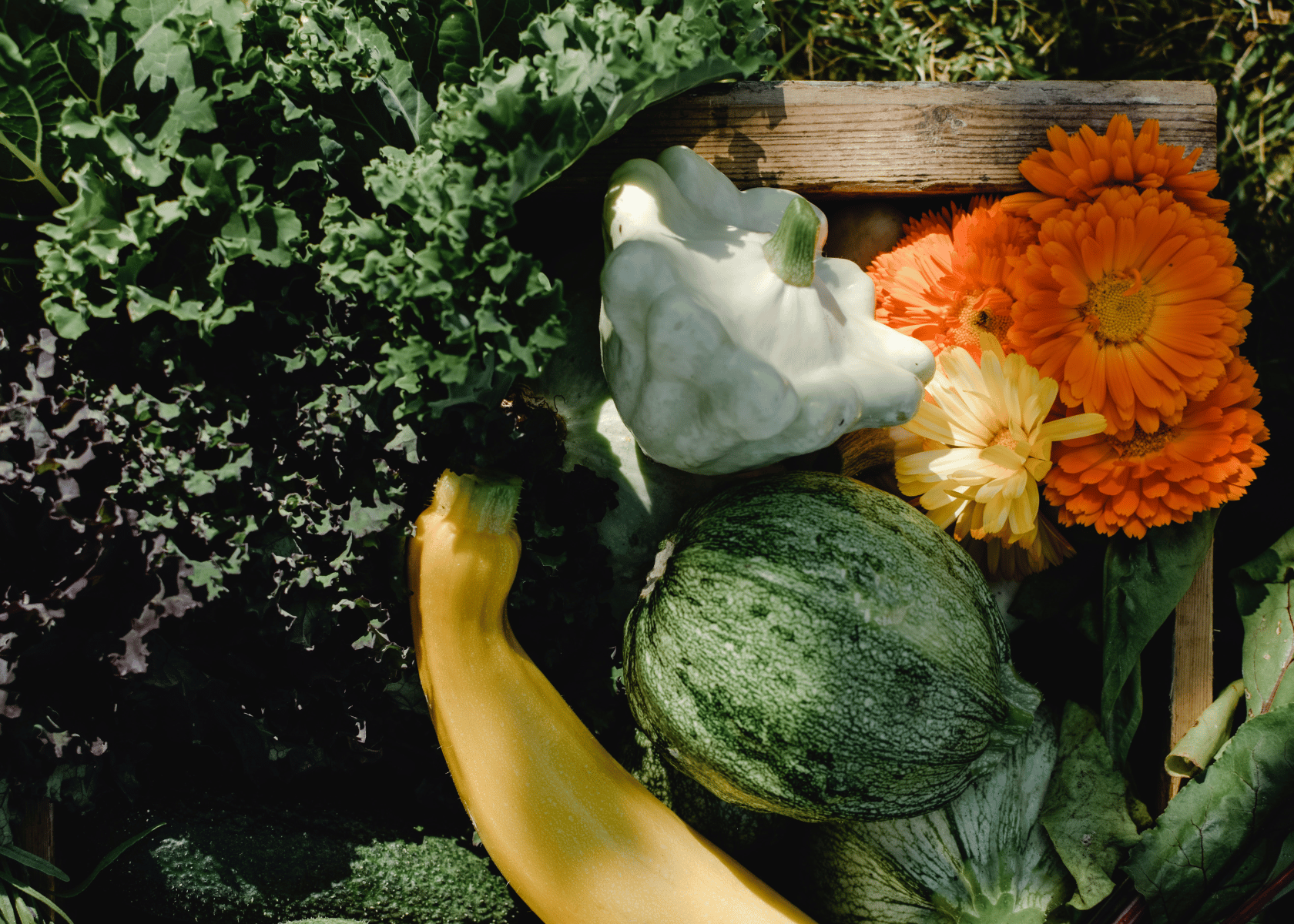 6 Best Raised Beds For Gardening that Make Veggie Gardening a Breeze: Here's What You Need to Know Before Investing In One!